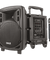 Ahuja Portable PA Active Speaker 30Watts Model BTA 550
