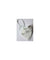 3M Particulate Respirator Mask, 9004IN (Pack of 100)