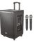 Ahuja Portable PA Active Speaker 60 Watts With Two Wireless Mics Model ABX-800