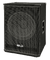 Ahuja Speakers PA Subwoofer Systems(Model-SWX 1000)
