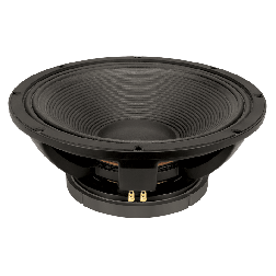 Ahuja Professional PA SpeakerModel L18 SW1000