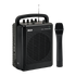 Ahuja Portable Pa Active Speaker 20 Watts Model WP 220