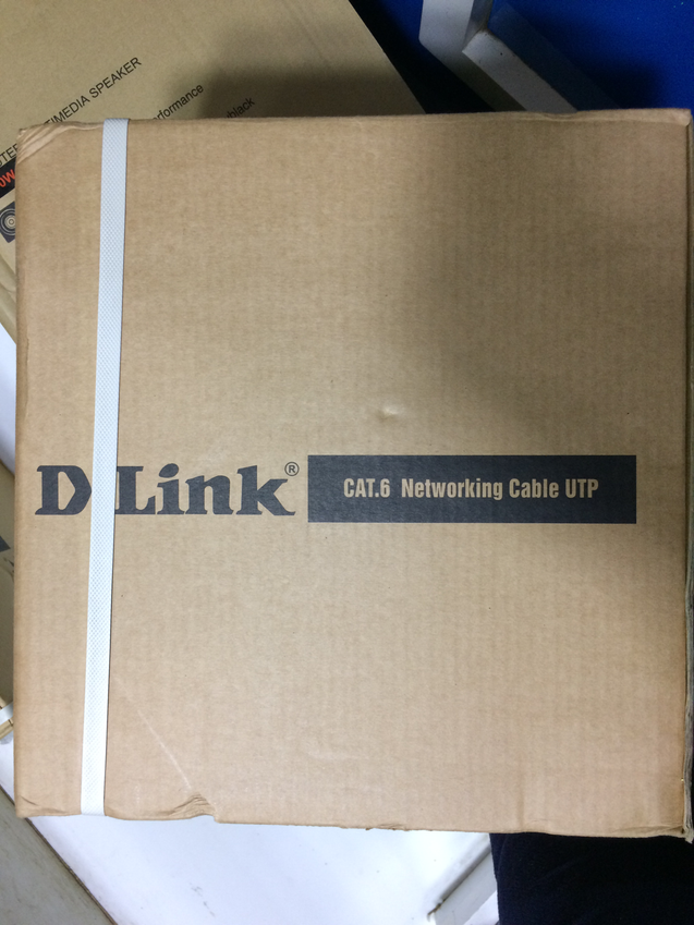 Dlink Cat6 Cable 100 mtr