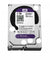 WD 1 TB Survilliance Purple Hard Disk
