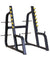 DFT 650 SQUAT RACK