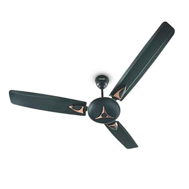 Candes Star 400rpm Coffee Brown Anti Dust Decorative Ceiling Fan, Sweep: 1200 mm