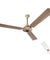 Balster Wonder 30W BLDC Beige Ceiling Fan with Remote & LED Light, Sweep: 1200 mm