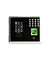 eSSL MB160 Channel Biometrics & RFID Time and Attendance Face System, STCSACT0019