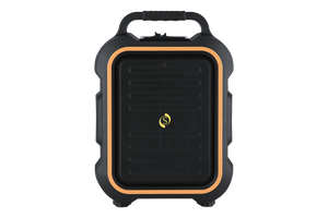 Studiomaster Muse 61 Portable Speaker With Bluetooth And USB With Wireless Mic