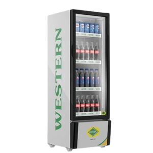 Western 216L Vertical Single Door Chiller, SRC280-GL