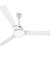Atomberg Naveo 32W Gloss White Ceiling Fan Compatible with Regulator, Sweep: 1200 mm