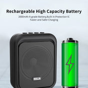 AHUJA NBA 25DW WITH BLUETOOTH, USB AND SD CARD OPTION WIRELESS SPEAKER. BEST FOR TEACHERS, DOCTORS & PUBLIC ADDRESS OF A SMALL GATHERING