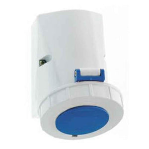 Neptune 16A 4 Pin IP67 Industrial Surface Mounting Socket, 1137