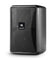 JBL Control 23-1 Ultra-Compact Indoor/Outdoor Background/Foreground Speaker