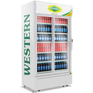 Western 910L Vertical Single Door Freezer, SRC1005-GL