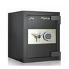 Godrej Matrix(3016) Electronic Safe