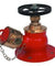 Safex Stainless Steel Single Outlet Hydrant Valve Flange, 63 mm. Dia
