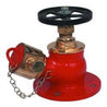 Safex Stainless Steel Single Outlet Hydrant Valve Flange, 63 mm. Dia
