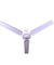 Almonard Popular/Regular 24 inch 850 RPM Ceiling Fan