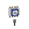 Havells 1600A Four Pole Open Execution Pass Switch, IHCBFO1600